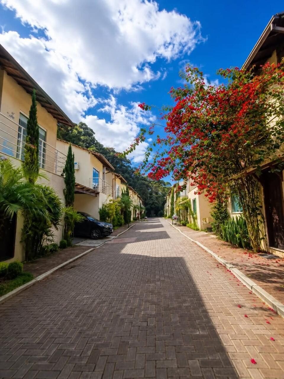Rua interna do condomínio fechado